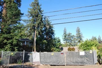 another view